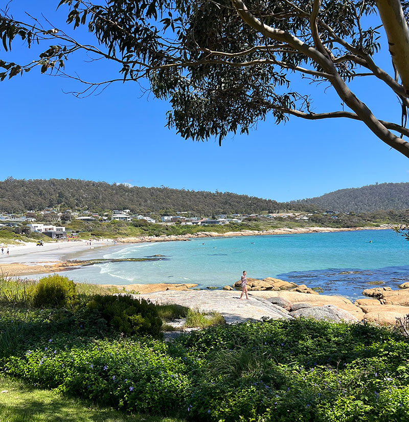 beaches-bushland-hero Sea Forever Bicheno Tasmania Airbnb