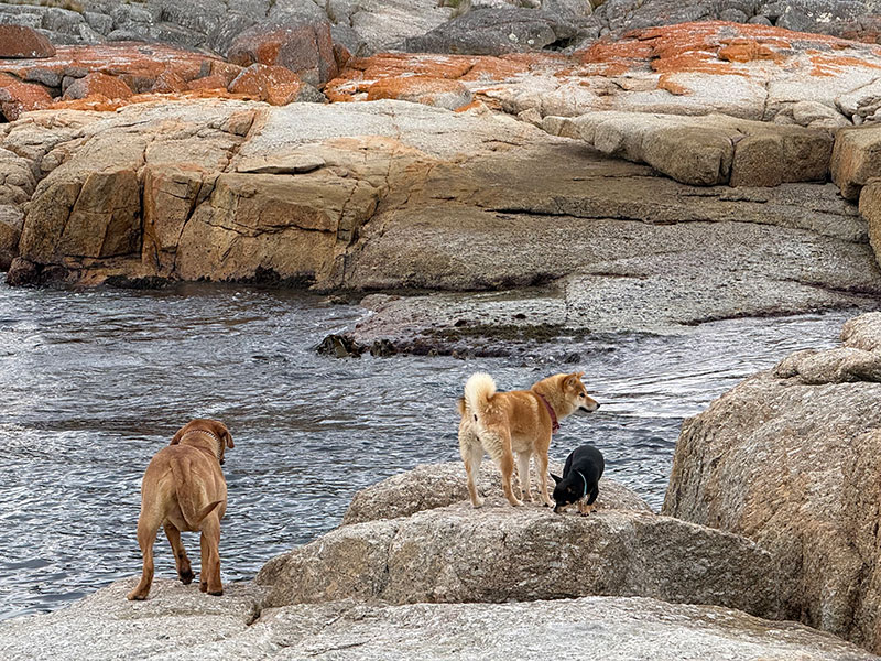  Wineglass Bay and the granite coastline - seaforever Bicheno